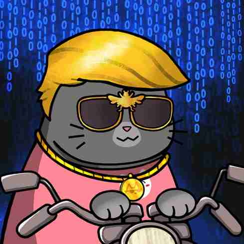 inscription 04417c6656142e49ef1cbeeffbf666ae12f3b3d2c581ed70b6a9d96f6bcb88eci3