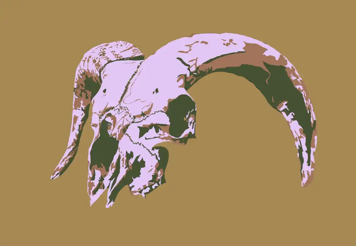 inscription 051f4e8aa1cc1ef18b03e0582bd2f8aff1ed1463eee087cbe910f2ebe54556b0i0