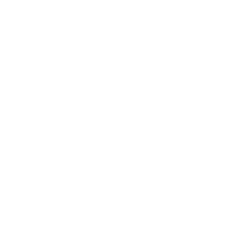 inscription 069840c490717c8a460fd005dc41e1e74691fdbf9d7dd50fe36581bbda717c0fi0