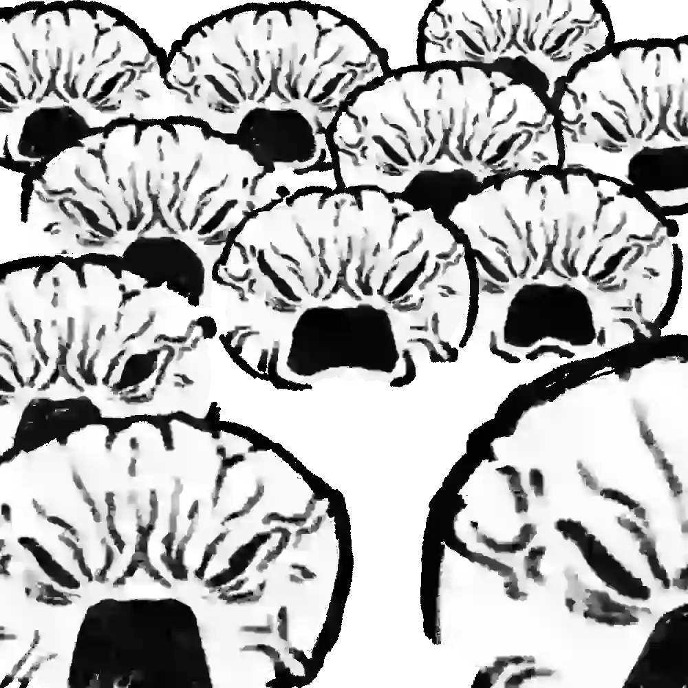 inscription 09b2ec39648cb025f93e2bfb1f01fb5704b282db07e867e1b26e86f032b9b130i3