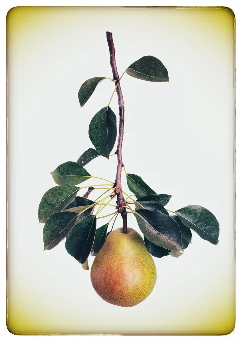 inscription 1857ea2f59d8945a7a56a95ffc0ffb6d7de286c89a364a23bb0eca44a972751ei0