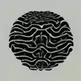 inscription 19d6dc75efb9cba6c52d95e9f590fc92cd8ae89a030efbd90cd1fecaea03d2fci0