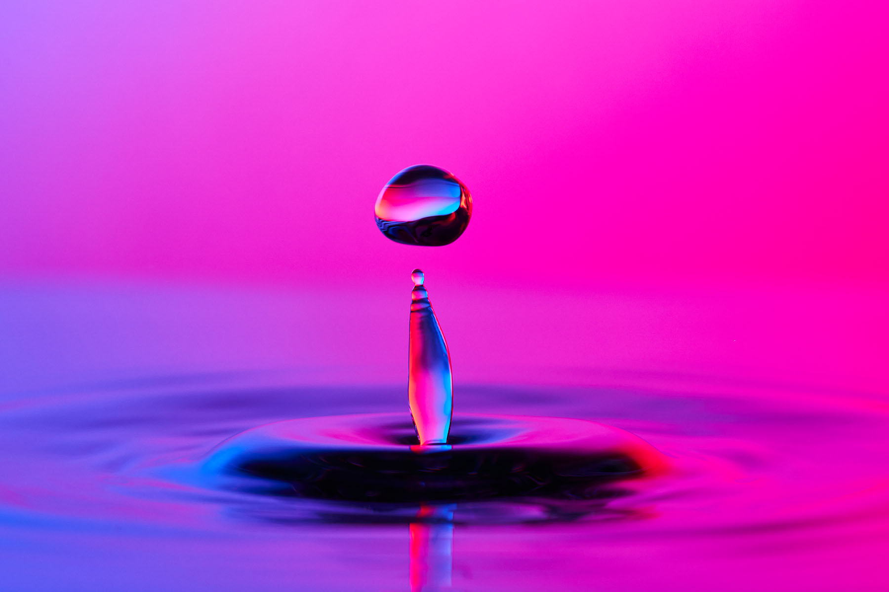 inscription 1eb71eea855f0b0808a9b07c71b054f62ab349356211e75cbe401bd77b72c996i0