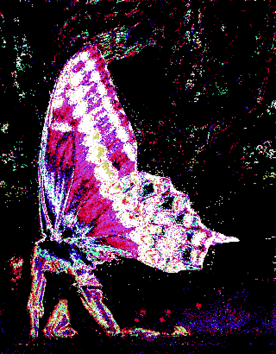 inscription 2160ff3a00d0077b446b9ce883f92bda4ea5bea080dcc87b258a0a84362a324ei0