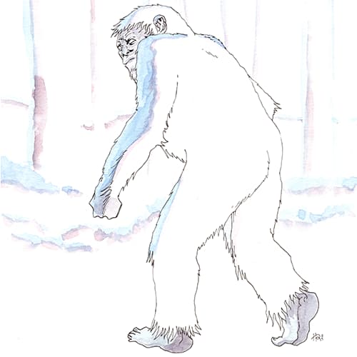 inscription 27cbd9d6383c1bf25ec951dd2cf18096d1f75d00b94d019ee65d78c31a88c492i4