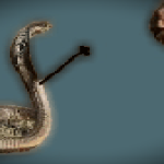 inscription 29cbad2a6db8803c1fcc7e8a9d38e4e6d554d4c816f3ac4f240d0326dccc0d97i0