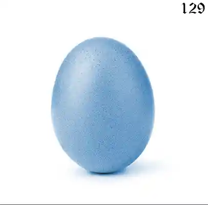 inscription 2e12a6a87edd17b477e735bd515ffd5d8a9652b2e3a917a82a76fdc55d33ee95i0