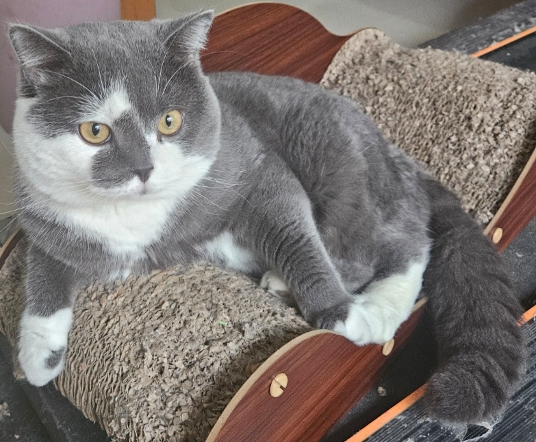 inscription 2e75e1904364bc2a675de56f8d5ced65fbddc097757534a72812bef7b1d7dbcdi0