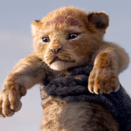 inscription 2e7d688f72a721988b59fdbb31eb43acdf893bc2cdb56feb5fd4eb7606f593a8i0