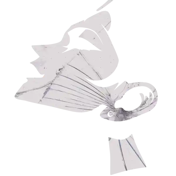 inscription 30b04032d78146bf5f1d2f4ecfa32d2ff25acd583870fe5874b58ea2a657deefi15