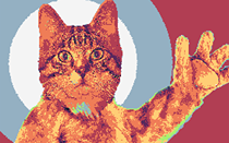 inscription 3a4e383cca7da9a85d4e650a4da3ddea7ab7a2131c3c2f88e191a9da5cf756b4i0