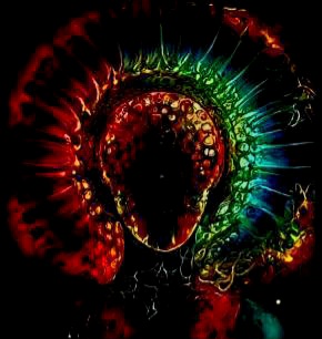 inscription 3c201fe5d5cf26ddee63dbb115c68f40f80b8dad837da0292da97950cadcb785i0