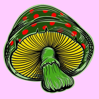 inscription 3e1293ae28cd521fff8b6ceab7534e7ae6ae5f991445166310237138fde07beci0