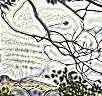 Image 21/60