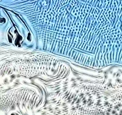 Image 24/60