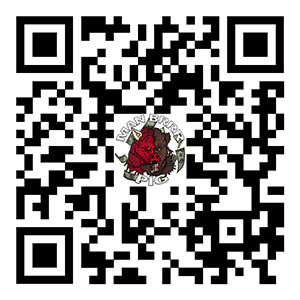 inscription 41ff9fd1ac0d42188cc3592462b34b4e2ec259faeae6951f26f3b56c1919ef76i0