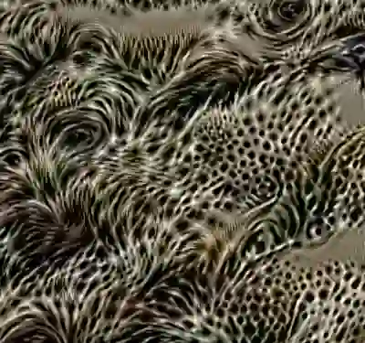 inscription 4a2361681d8670b7c5dfd63d347328d27b2860e4629c86a2f9d457cc2357e5cdi2