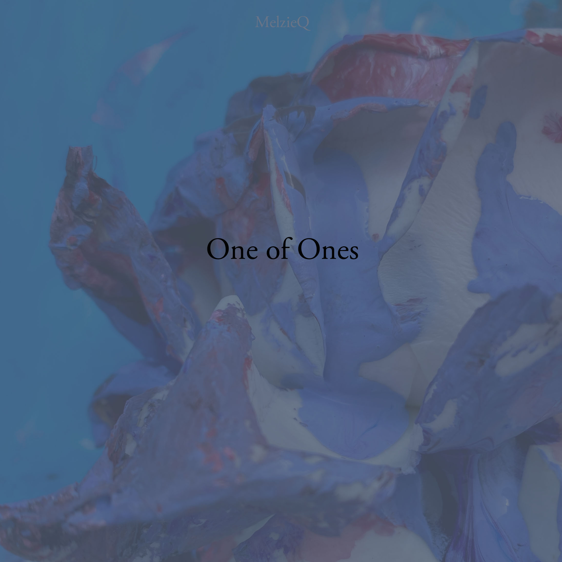 inscription 4a8206aab5f7c0c3b2a568aa1df359fab5629ce528ebce704dae2395617789b6i0