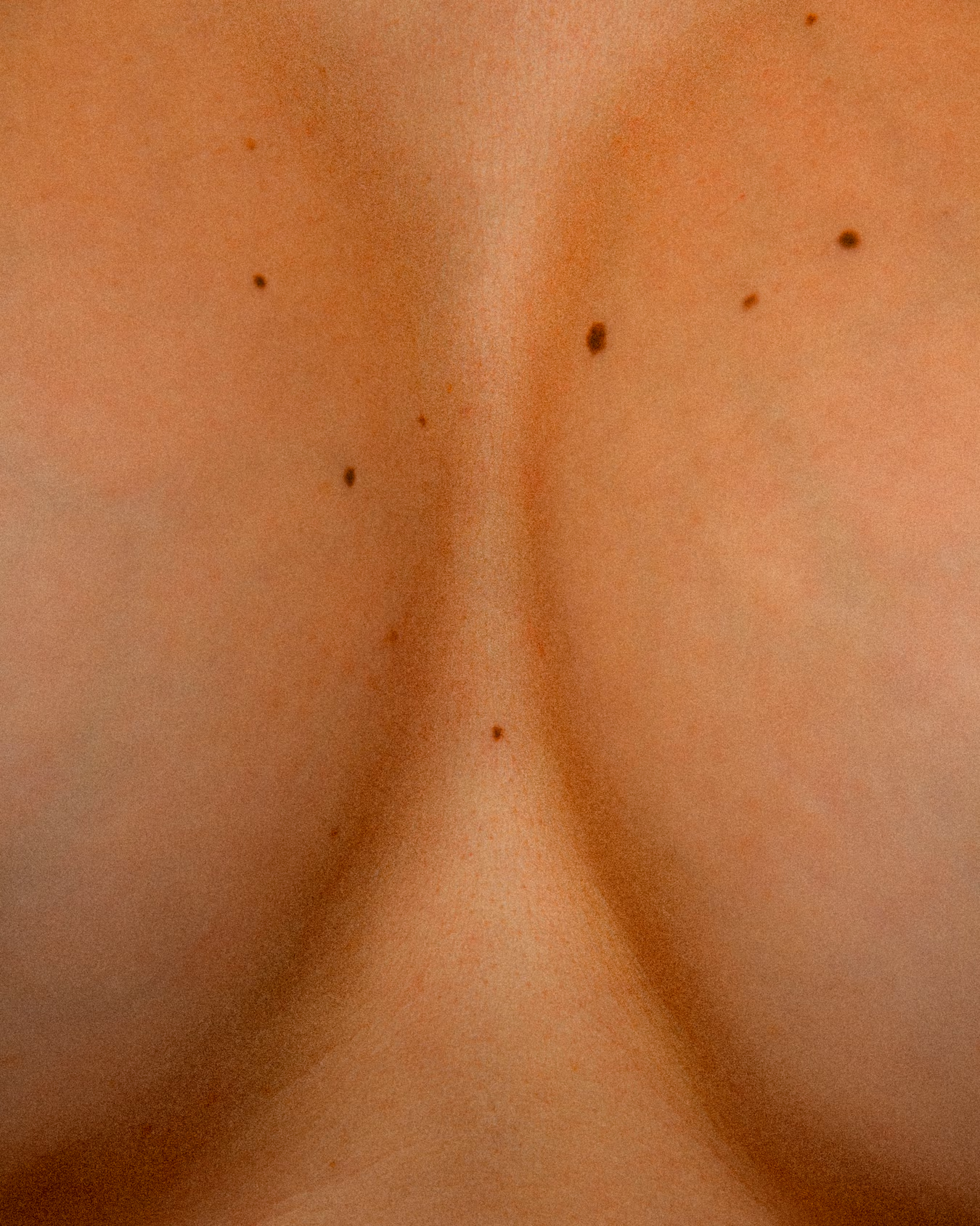 inscription 5a85e6b9951978c8ba97b3a3d86ef89be8a0663bc89bd047cfa37b15f9ceeeb5i0