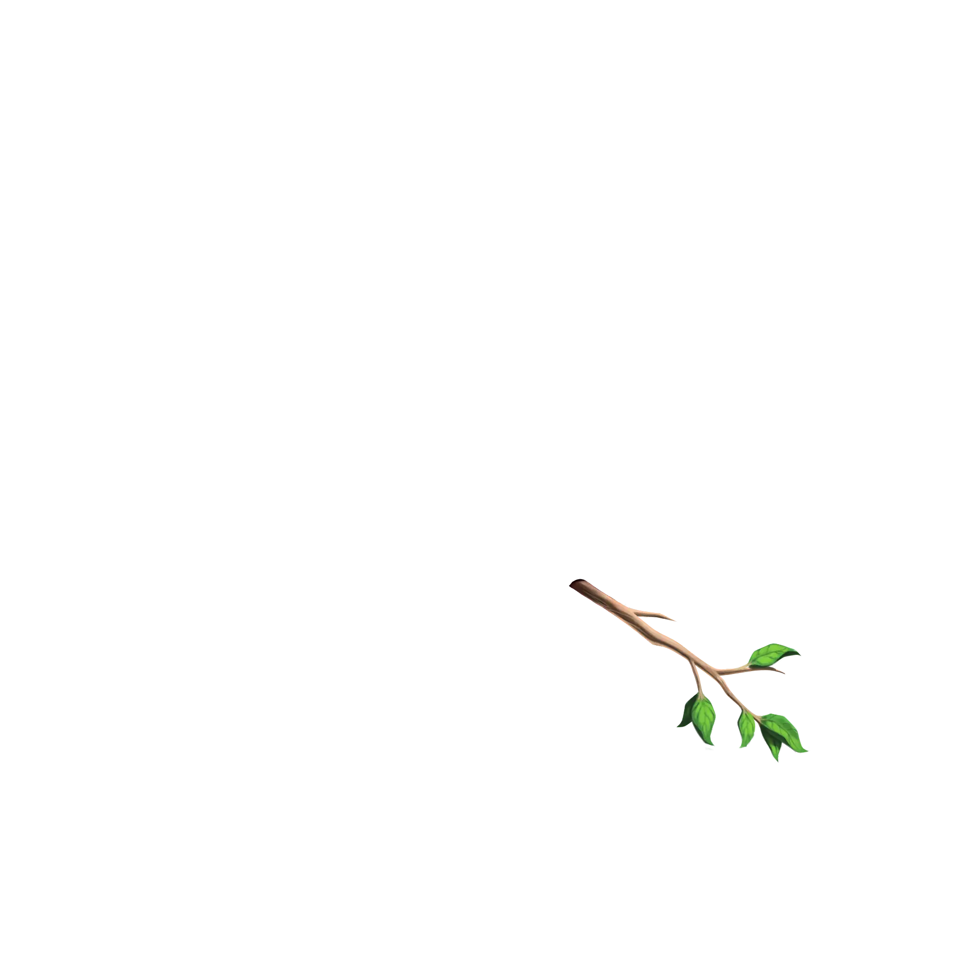 inscription 5dac2ec64b9b8dbf2c9e047f17b808f463a23f5a9b8a2672511bc5e4c7d5bbc4i0