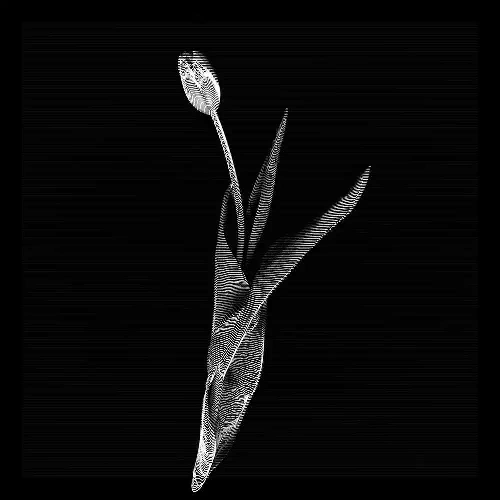 inscription 634e7bd4e8cee0782d228945c00eb77c31cc5e3fe4a8a091bfcdc39b2d939923i3