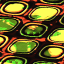 inscription 6993e0eb275cbaaad87ecc9a30bcbfe1a7d7b2ef3be6d37d4830d0018ea2aad8i20