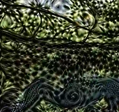 Image 31/60