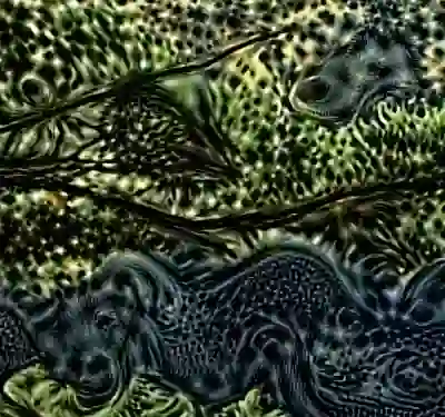 Image 32/60