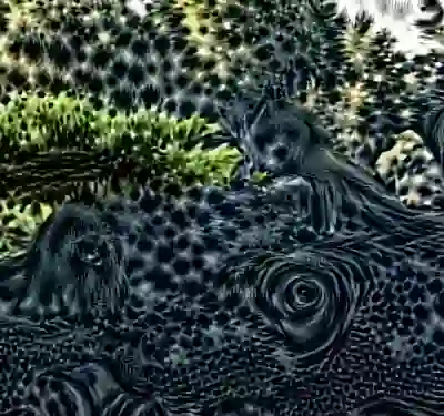 Image 33/60