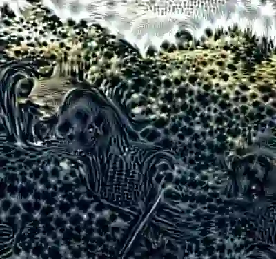 Image 34/60