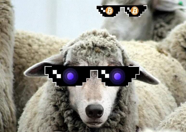 inscription 6e0d85f6eb44802660e8fe0e22abcadcae5c8d0d75e12ffccc8bef65e33692bdi0