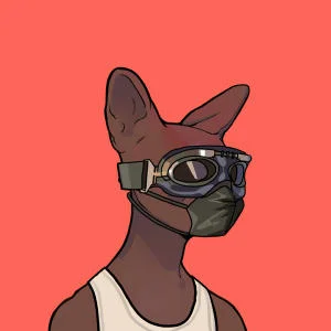 inscription 6f1d1a3c568b38c72b907b85004b670fe61f419b3777d1f53a58dab393ba6888i1