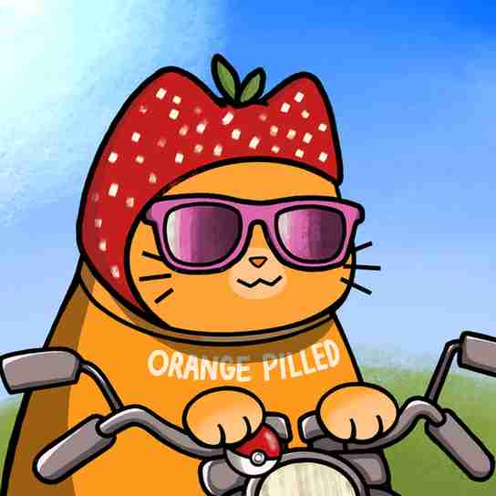 inscription 764ea3b70ed4eb7e8919183667a61b008d5ed03e46cdc823418891ccc2b8555bi14