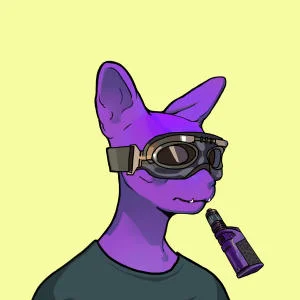 inscription 88ff84eb69d20e2fe5768617f6b778acf56d2df34a05000aa7b1e1433b0b0a9di8