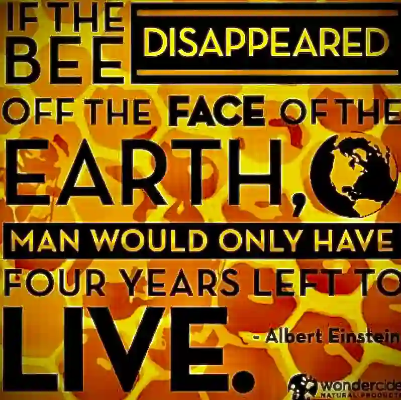 inscription 8de4e298d43a3dc6f36c988e79a96ae20ccb22a54bed74b1a82f1802d833915fi0