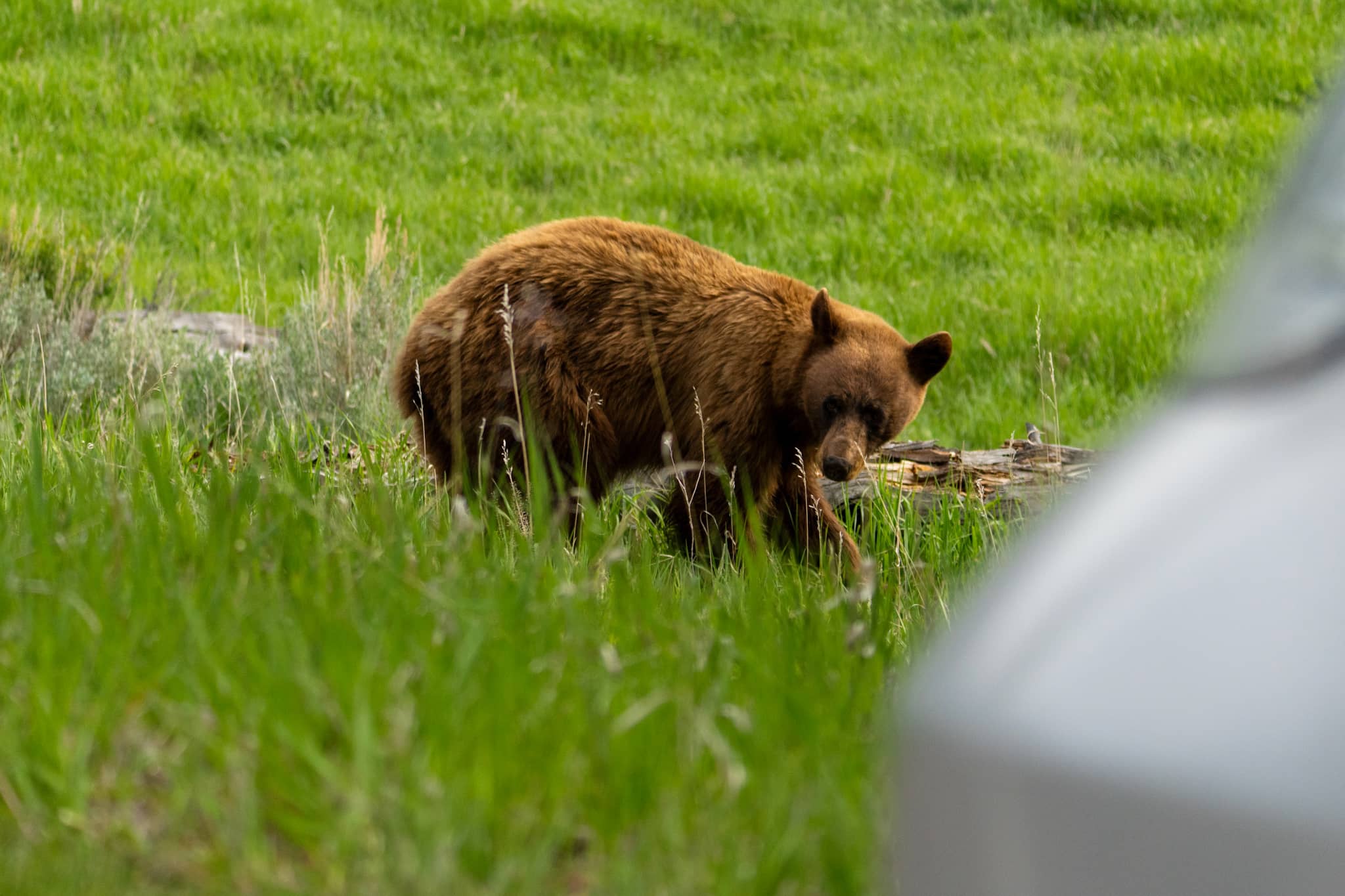 inscription 951d0cc9886f7e6d067d55796f9f8d166adc808773220a9838cfb44669ecc536i0