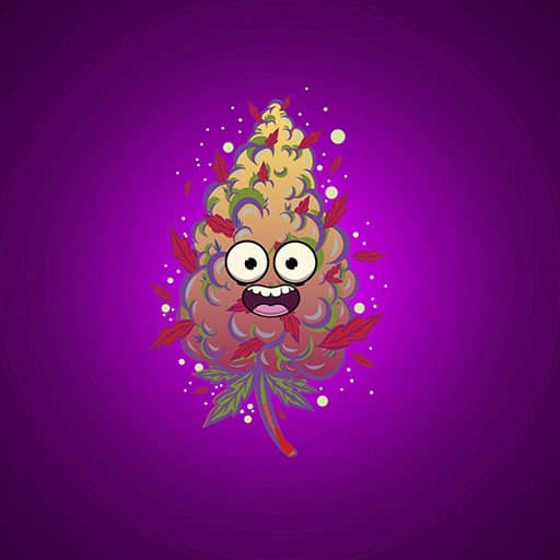 inscription 9ad1aef74069dcbb8f3b0c70b82523025a399ba3e3b3a16906020521d8ed9838i0