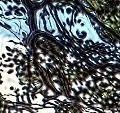 Image 11/60