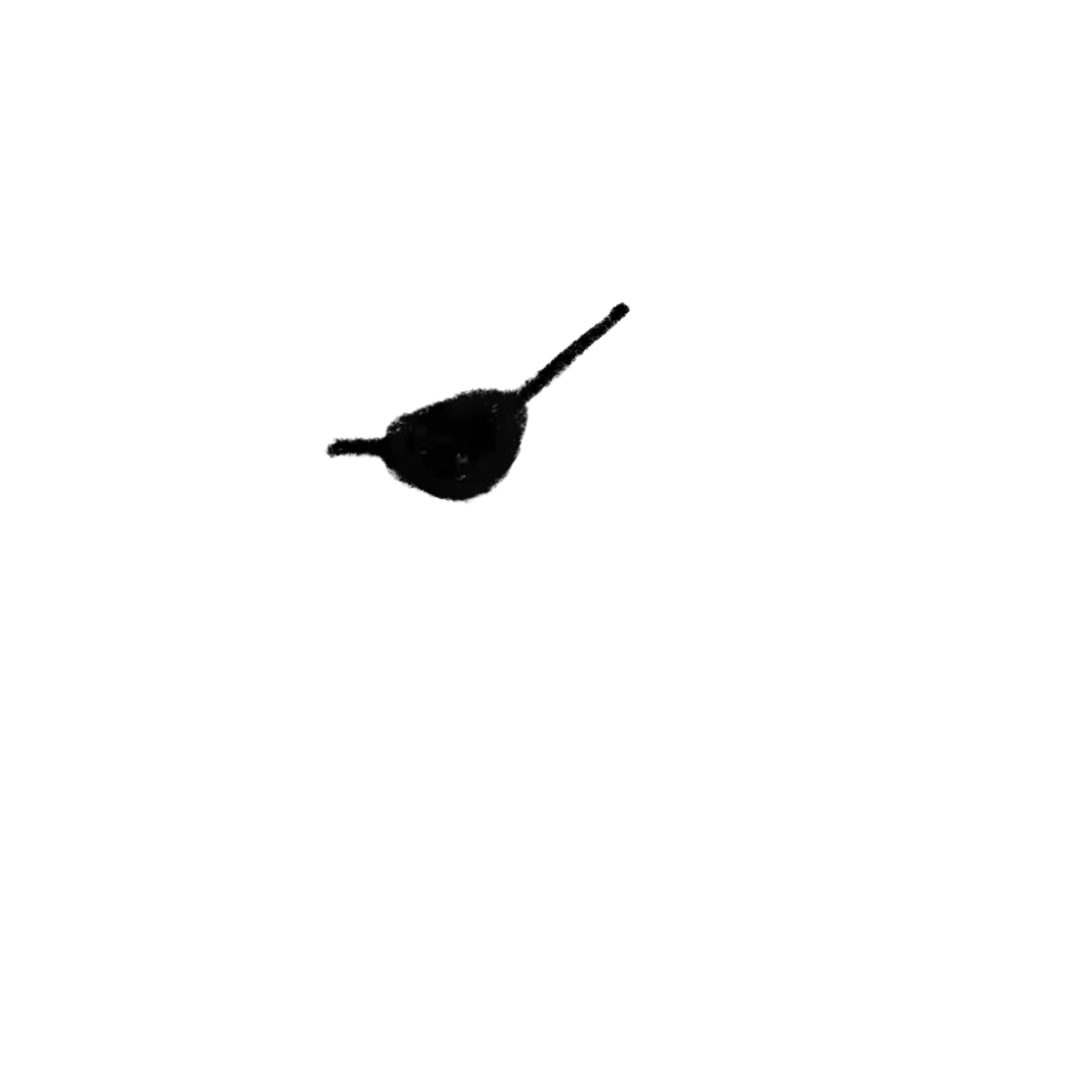 inscription a72060b160ae55d406c01a4760961b0f06e5b69d006dedd7c4194260ecf1e921i2