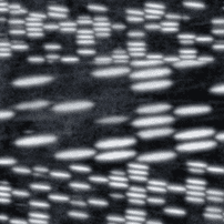 inscription b880cbbfc887d4f9f0ec84f41258cd492a75762163d7115a77be40e27dca19f4i0