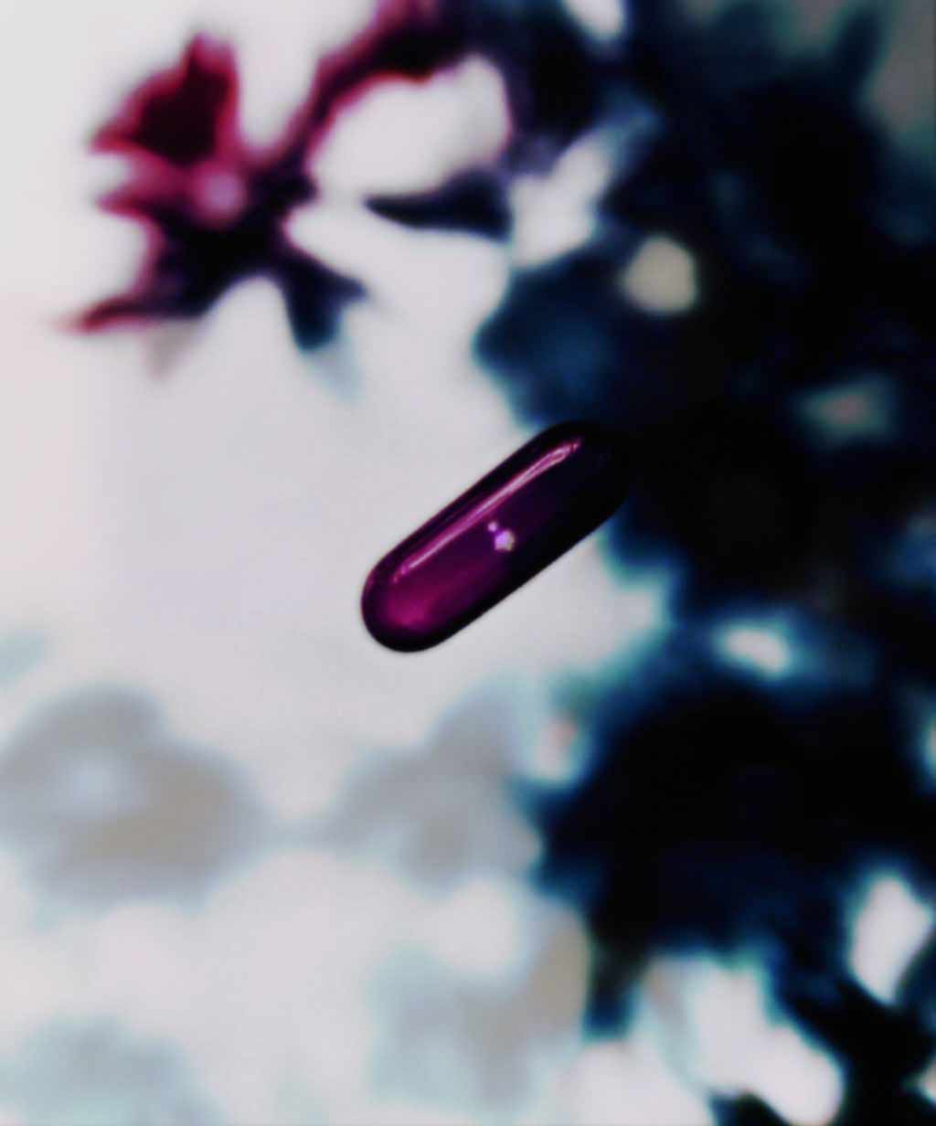 inscription c2e4e3992ed8513d0c745fe97558a3509fce701326bcb68183d62b47bb1e65f2i0