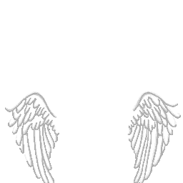 inscription c6c64c488ef64b2d7a88ccef405753d9e57593ad836edae04327ba341361ba89i0