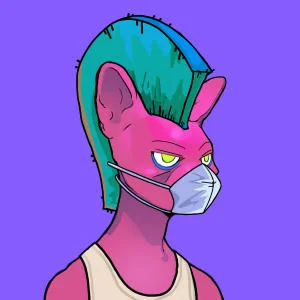 inscription d1d05b57a83b99b46a4c21b64253448dca89050221afc2058b7e5b78a0b85259i0