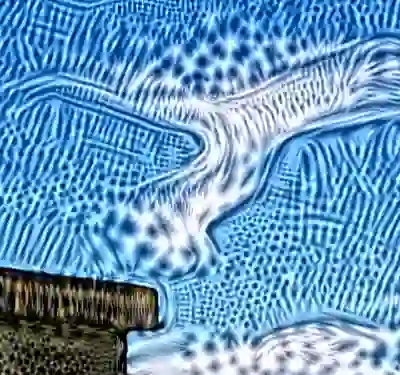 inscription d702e9d52ed640117fcbdfada9bb2a8718fcf968cf7d85db4bc256889937d8d8i5