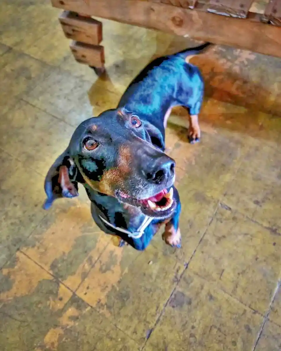 inscription d8a03e55d56464a6b7aaa3189cb02d6f844a4f249c19078bb98fef2b20883c6ci0