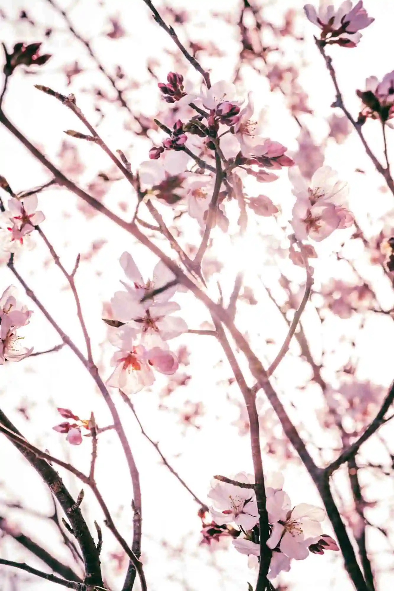 inscription e6132ec0d3eb116da252bcf64b3dc48dea2ae646d0b9f311473922054d0c1b01i0