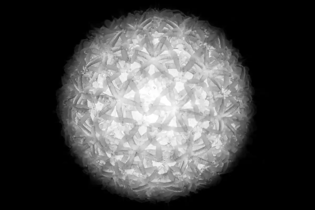 inscription e937cd91dcec364cf20eaaaaf4d8a32f0401863a9ceba8289f9ea4e8c4db26aci0