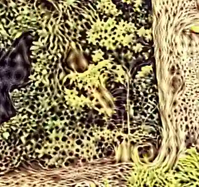 inscription ea4f8052d4eab1bb386065141dc3599c39efd73c9b4ff3dc2a336da7f6eec0e1i1