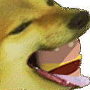 inscription ebc5853c7cb83ca79a0a58b4b2d85e0610366f3177ee26a7c72d3ca9833dea8ei0