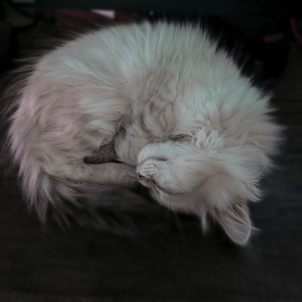 inscription f2feaa92da4ccb84b14a921d1db75cda336ebd562ad9d4226d8fb63efcdf08cdi0